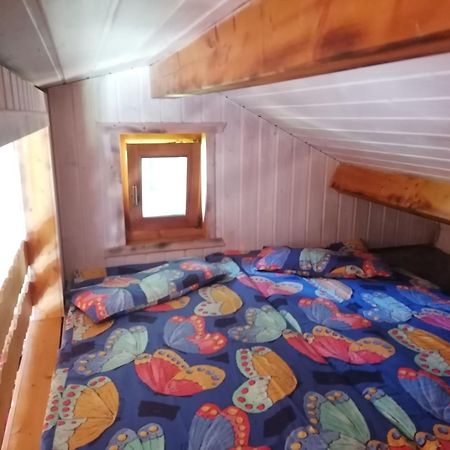 Kleines Studio Im Eichenwaeldchen, 1 Zimmer Kueche Bad Friedrichsgrun Dış mekan fotoğraf