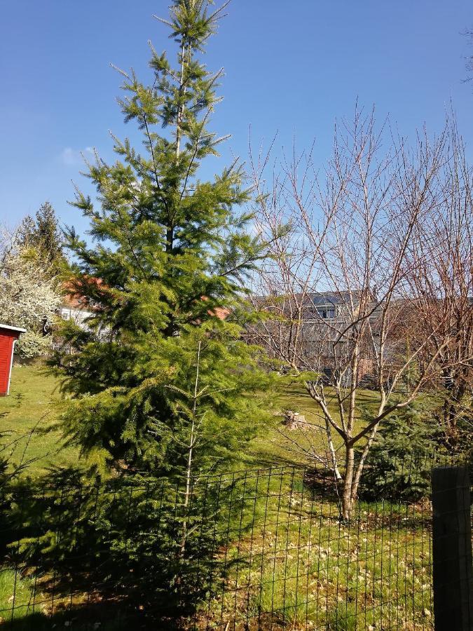 Kleines Studio Im Eichenwaeldchen, 1 Zimmer Kueche Bad Friedrichsgrun Dış mekan fotoğraf