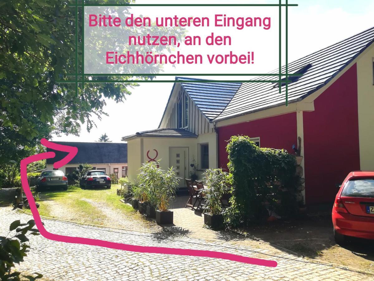 Kleines Studio Im Eichenwaeldchen, 1 Zimmer Kueche Bad Friedrichsgrun Dış mekan fotoğraf