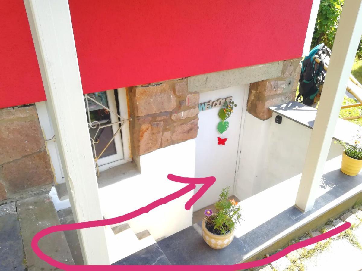 Kleines Studio Im Eichenwaeldchen, 1 Zimmer Kueche Bad Friedrichsgrun Dış mekan fotoğraf