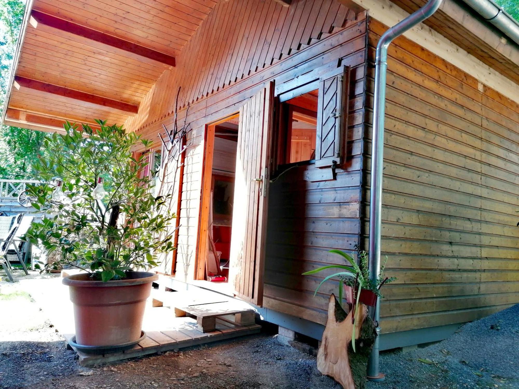 Kleines Studio Im Eichenwaeldchen, 1 Zimmer Kueche Bad Friedrichsgrun Dış mekan fotoğraf